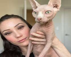 She has a hairless cat in her home.